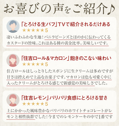 住吉レモン5個【冷蔵配送】冷やして食べるレモンケーキ 5営業日以内に発送